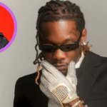 Offset Net Worth