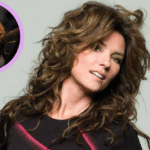 shania twain net worth