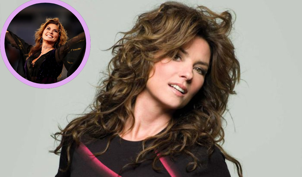 shania twain net worth